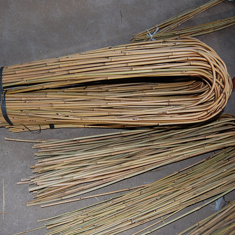 U Bamboo